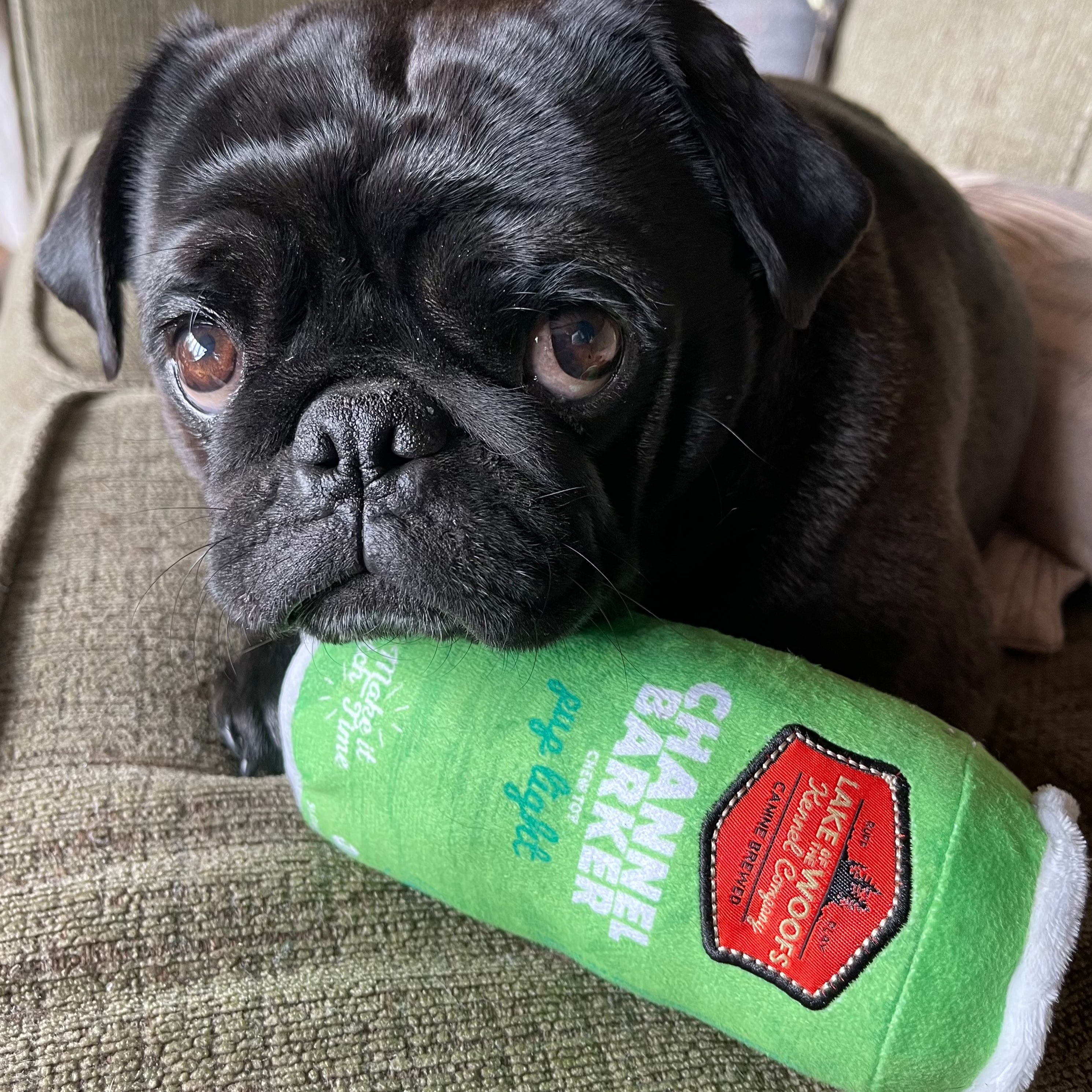 Dog toy discount companies